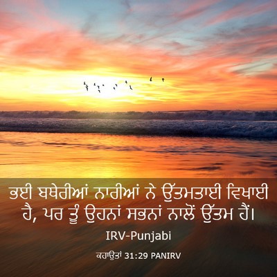 Picture 03 - ਕਹਾਉਤਾਂ 31:29 PANIRV - ਭਈ ਬਥੇਰੀਆਂ ਨਾਰੀਆਂ - Bible Verse Picture