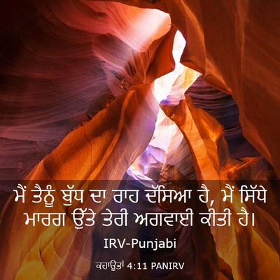 Picture 03 - ਕਹਾਉਤਾਂ 4:11 PANIRV - ਮੈਂ ਤੈਨੂੰ ਬੁੱਧ ਦਾ - Bible Verse Picture