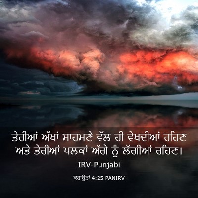 Picture 03 - ਕਹਾਉਤਾਂ 4:25 PANIRV - ਤੇਰੀਆਂ ਅੱਖਾਂ - Bible Verse Picture