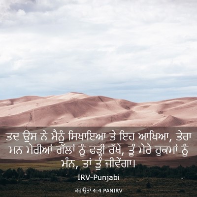 Picture 03 - ਕਹਾਉਤਾਂ 4:4 PANIRV - ਤਦ ਉਸ ਨੇ ਮੈਨੂੰ - Bible Verse Picture