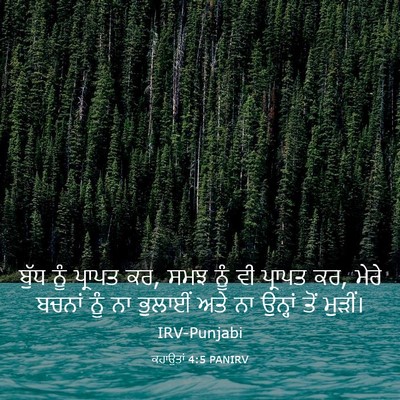 Picture 03 - ਕਹਾਉਤਾਂ 4:5 PANIRV - ਬੁੱਧ ਨੂੰ ਪ੍ਰਾਪਤ ਕਰ, - Bible Verse Picture