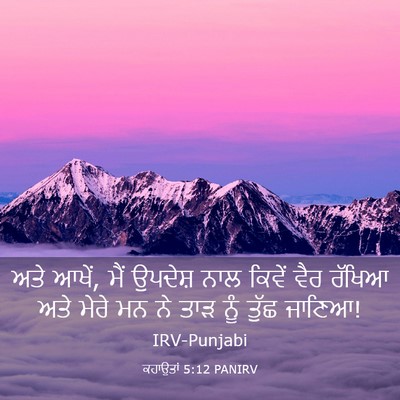 Picture 03 - ਕਹਾਉਤਾਂ 5:12 PANIRV - ਅਤੇ ਆਖੇਂ, ਮੈਂ - Bible Verse Picture