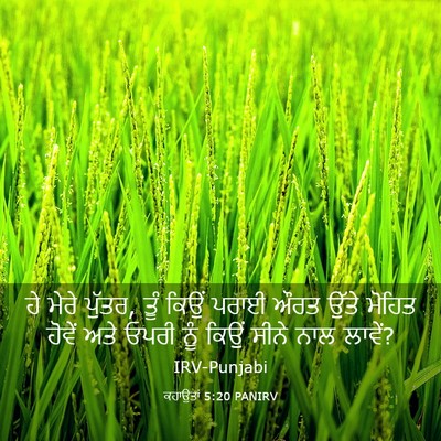 Picture 03 - ਕਹਾਉਤਾਂ 5:20 PANIRV - ਹੇ ਮੇਰੇ ਪੁੱਤਰ, ਤੂੰ - Bible Verse Picture