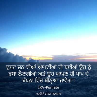 Picture 03 - ਕਹਾਉਤਾਂ 5:22 PANIRV - ਦੁਸ਼ਟ ਜਨ ਦੀਆਂ - Bible Verse Picture