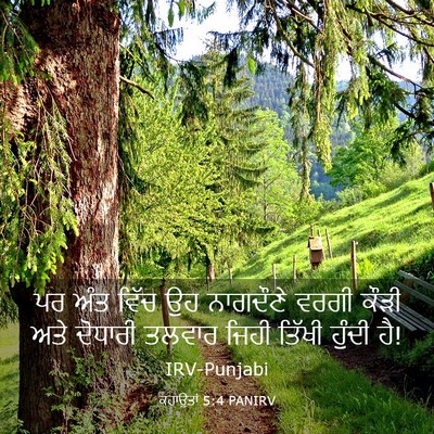 Picture 03 - ਕਹਾਉਤਾਂ 5:4 PANIRV - ਪਰ ਅੰਤ ਵਿੱਚ ਉਹ - Bible Verse Picture