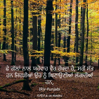 Picture 03 - ਕਹਾਉਤਾਂ 6:16 PANIRV - ਛੇ ਗੱਲਾਂ ਨਾਲ - Bible Verse Picture