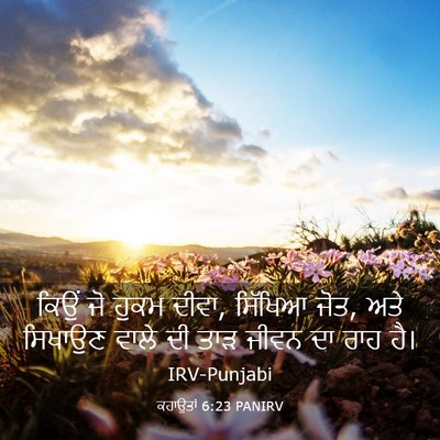Picture 03 - ਕਹਾਉਤਾਂ 6:23 PANIRV - ਕਿਉਂ ਜੋ ਹੁਕਮ ਦੀਵਾ, - Bible Verse Picture
