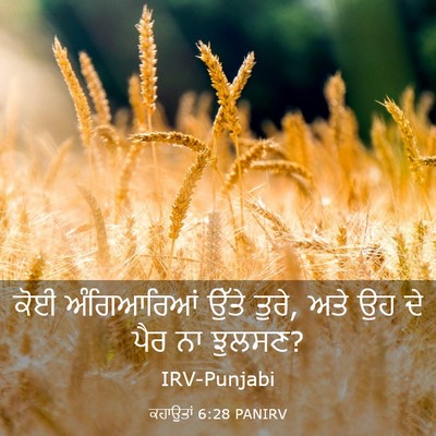 Picture 03 - ਕਹਾਉਤਾਂ 6:28 PANIRV - ਕੋਈ ਅੰਗਿਆਰਿਆਂ - Bible Verse Picture