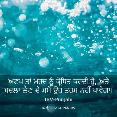 Picture 03 - ਕਹਾਉਤਾਂ 6:34 PANIRV - ਅਣਖ ਤਾਂ ਮਰਦ ਨੂੰ - Bible Verse Picture