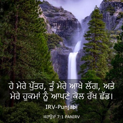 Picture 03 - ਕਹਾਉਤਾਂ 7:1 PANIRV - ਹੇ ਮੇਰੇ ਪੁੱਤਰ, ਤੂੰ - Bible Verse Picture