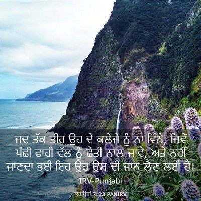 Picture 03 - ਕਹਾਉਤਾਂ 7:23 PANIRV - ਜਦ ਤੱਕ ਤੀਰ ਉਹ ਦੇ - Bible Verse Picture