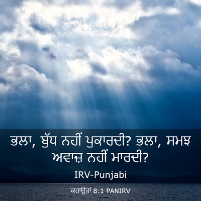 Picture 03 - ਕਹਾਉਤਾਂ 8:1 PANIRV - ਭਲਾ, ਬੁੱਧ ਨਹੀਂ - Bible Verse Picture