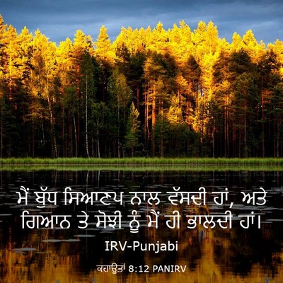 Picture 03 - ਕਹਾਉਤਾਂ 8:12 PANIRV - ਮੈਂ ਬੁੱਧ ਸਿਆਣਪ ਨਾਲ - Bible Verse Picture