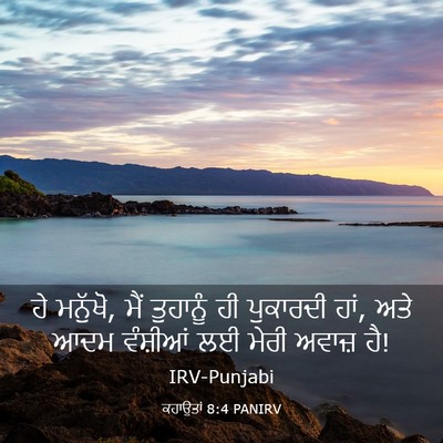 Picture 03 - ਕਹਾਉਤਾਂ 8:4 PANIRV - ਹੇ ਮਨੁੱਖੋ, ਮੈਂ - Bible Verse Picture