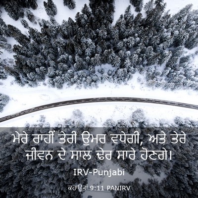 Picture 03 - ਕਹਾਉਤਾਂ 9:11 PANIRV - ਮੇਰੇ ਰਾਹੀਂ ਤੇਰੀ - Bible Verse Picture