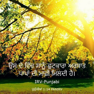 Picture 03 - ਕੁਲੁੱਸੀਆਂ 1:14 PANIRV - ਉਸ ਦੇ ਵਿੱਚ ਸਾਨੂੰ - Bible Verse Picture