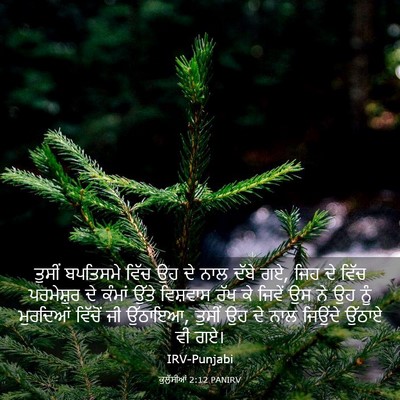 Picture 03 - ਕੁਲੁੱਸੀਆਂ 2:12 PANIRV - ਤੁਸੀਂ ਬਪਤਿਸਮੇ - Bible Verse Picture