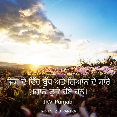 Picture 03 - ਕੁਲੁੱਸੀਆਂ 2:3 PANIRV - ਜਿਸ ਦੇ ਵਿੱਚ ਬੁੱਧ - Bible Verse Picture