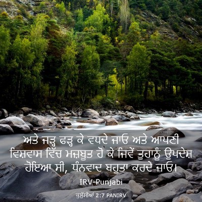 Picture 03 - ਕੁਲੁੱਸੀਆਂ 2:7 PANIRV - ਅਤੇ ਜੜ੍ਹ ਫੜ੍ਹ ਕੇ - Bible Verse Picture