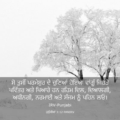 Picture 03 - ਕੁਲੁੱਸੀਆਂ 3:12 PANIRV - ਸੋ ਤੁਸੀਂ ਪਰਮੇਸ਼ੁਰ - Bible Verse Picture