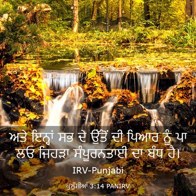 Picture 03 - ਕੁਲੁੱਸੀਆਂ 3:14 PANIRV - ਅਤੇ ਇਨ੍ਹਾਂ ਸਭ ਦੇ - Bible Verse Picture