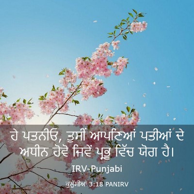 Picture 03 - ਕੁਲੁੱਸੀਆਂ 3:18 PANIRV - ਹੇ ਪਤਨੀਓ, ਤੁਸੀਂ - Bible Verse Picture
