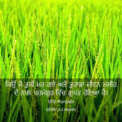 Picture 03 - ਕੁਲੁੱਸੀਆਂ 3:3 PANIRV - ਕਿਉਂ ਜੋ ਤੁਸੀਂ ਮਰ ਗਏ - Bible Verse Picture