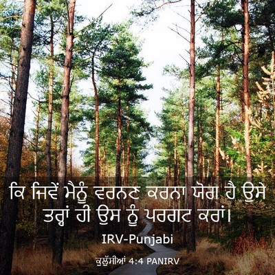 Picture 03 - ਕੁਲੁੱਸੀਆਂ 4:4 PANIRV - ਕਿ ਜਿਵੇਂ ਮੈਨੂੰ - Bible Verse Picture