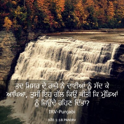 Picture 03 - ਖ਼ਰੋਜ 1:18 PANIRV - ਤਦ ਮਿਸਰ ਦੇ ਰਾਜੇ ਨੇ - Bible Verse Picture