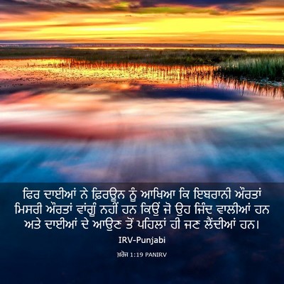 Picture 03 - ਖ਼ਰੋਜ 1:19 PANIRV - ਫਿਰ ਦਾਈਆਂ ਨੇ - Bible Verse Picture