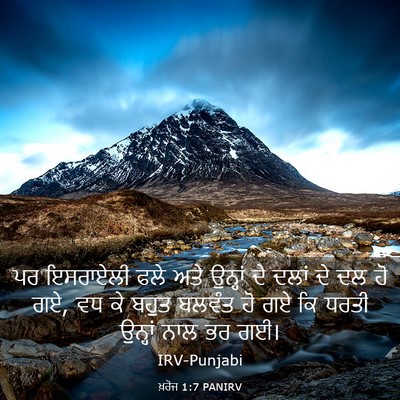 Picture 03 - ਖ਼ਰੋਜ 1:7 PANIRV - ਪਰ ਇਸਰਾਏਲੀ ਫਲੇ ਅਤੇ - Bible Verse Picture