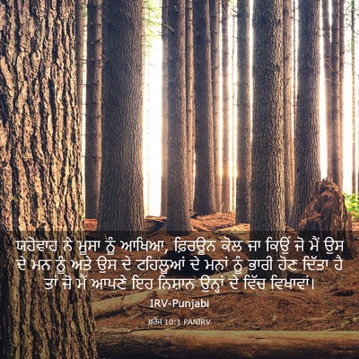 Picture 03 - ਖ਼ਰੋਜ 10:1 PANIRV - ਯਹੋਵਾਹ ਨੇ ਮੂਸਾ ਨੂੰ - Bible Verse Picture
