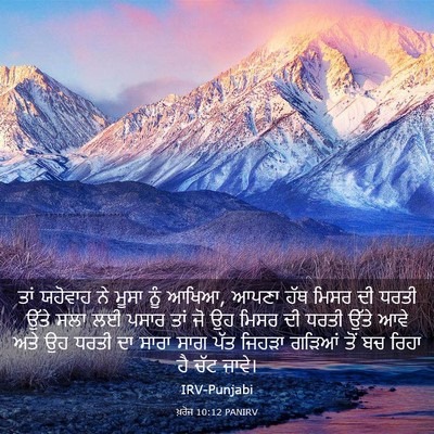 Picture 03 - ਖ਼ਰੋਜ 10:12 PANIRV - ਤਾਂ ਯਹੋਵਾਹ ਨੇ ਮੂਸਾ - Bible Verse Picture