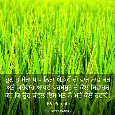 Picture 03 - ਖ਼ਰੋਜ 10:17 PANIRV - ਹੁਣ ਤੂੰ ਮੇਰਾ ਪਾਪ - Bible Verse Picture