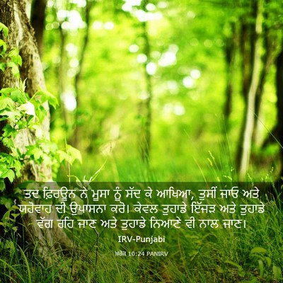 Picture 03 - ਖ਼ਰੋਜ 10:24 PANIRV - ਤਦ ਫ਼ਿਰਊਨ ਨੇ ਮੂਸਾ - Bible Verse Picture