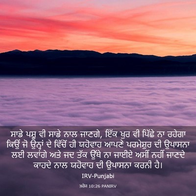 Picture 03 - ਖ਼ਰੋਜ 10:26 PANIRV - ਸਾਡੇ ਪਸ਼ੂ ਵੀ ਸਾਡੇ - Bible Verse Picture