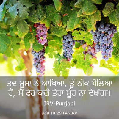 Picture 03 - ਖ਼ਰੋਜ 10:29 PANIRV - ਤਦ ਮੂਸਾ ਨੇ ਆਖਿਆ, - Bible Verse Picture