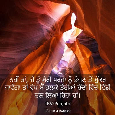 Picture 03 - ਖ਼ਰੋਜ 10:4 PANIRV - ਨਹੀਂ ਤਾਂ, ਜੇ ਤੂੰ - Bible Verse Picture