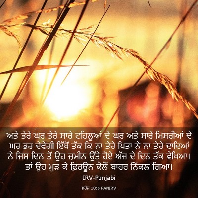 Picture 03 - ਖ਼ਰੋਜ 10:6 PANIRV - ਅਤੇ ਤੇਰੇ ਘਰ ਤੇਰੇ - Bible Verse Picture