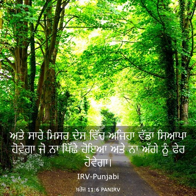Picture 03 - ਖ਼ਰੋਜ 11:6 PANIRV - ਅਤੇ ਸਾਰੇ ਮਿਸਰ ਦੇਸ - Bible Verse Picture