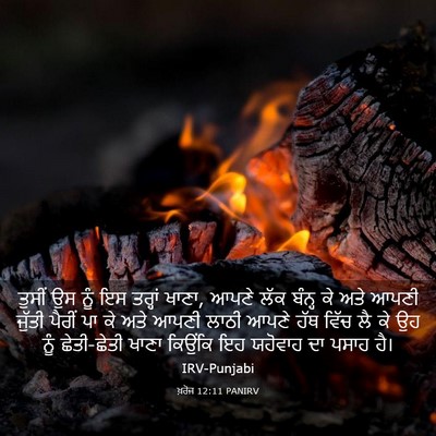 Picture 03 - ਖ਼ਰੋਜ 12:11 PANIRV - ਤੁਸੀਂ ਉਸ ਨੂੰ ਇਸ - Bible Verse Picture