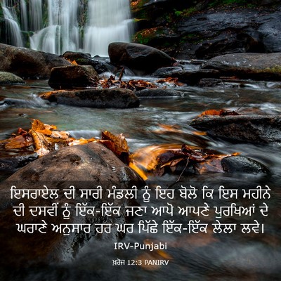 Picture 03 - ਖ਼ਰੋਜ 12:3 PANIRV - ਇਸਰਾਏਲ ਦੀ ਸਾਰੀ - Bible Verse Picture