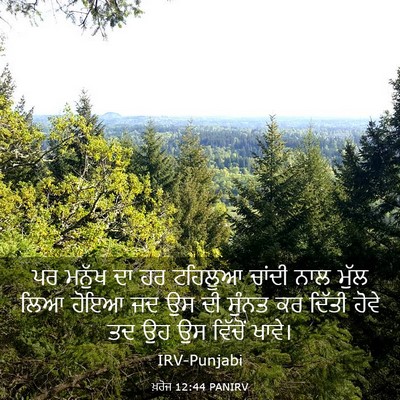 Picture 03 - ਖ਼ਰੋਜ 12:44 PANIRV - ਪਰ ਮਨੁੱਖ ਦਾ ਹਰ - Bible Verse Picture