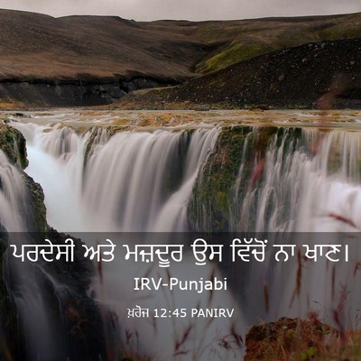 Picture 03 - ਖ਼ਰੋਜ 12:45 PANIRV - ਪਰਦੇਸੀ ਅਤੇ ਮਜ਼ਦੂਰ - Bible Verse Picture