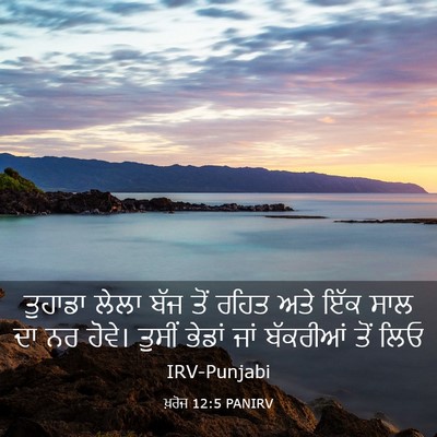 Picture 03 - ਖ਼ਰੋਜ 12:5 PANIRV - ਤੁਹਾਡਾ ਲੇਲਾ ਬੱਜ - Bible Verse Picture