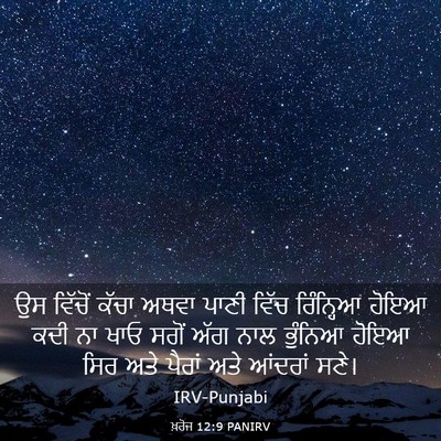 Picture 03 - ਖ਼ਰੋਜ 12:9 PANIRV - ਉਸ ਵਿੱਚੋਂ ਕੱਚਾ - Bible Verse Picture
