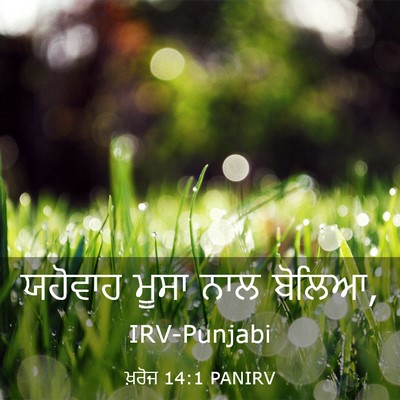 Picture 03 - ਖ਼ਰੋਜ 14:1 PANIRV - ਯਹੋਵਾਹ ਮੂਸਾ ਨਾਲ - Bible Verse Picture