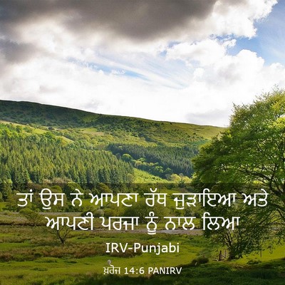 Picture 03 - ਖ਼ਰੋਜ 14:6 PANIRV - ਤਾਂ ਉਸ ਨੇ ਆਪਣਾ ਰੱਥ - Bible Verse Picture