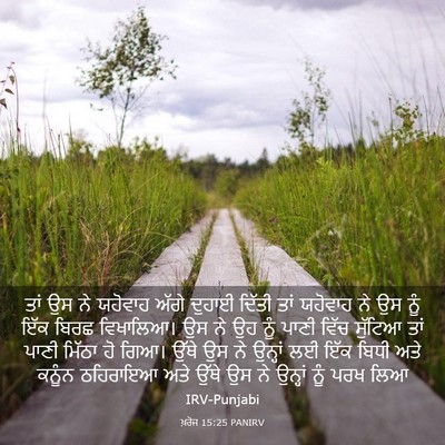 Picture 03 - ਖ਼ਰੋਜ 15:25 PANIRV - ਤਾਂ ਉਸ ਨੇ ਯਹੋਵਾਹ - Bible Verse Picture