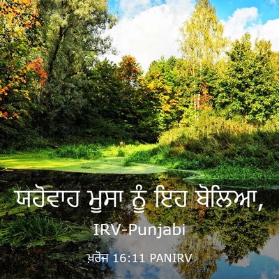 Picture 03 - ਖ਼ਰੋਜ 16:11 PANIRV - ਯਹੋਵਾਹ ਮੂਸਾ ਨੂੰ ਇਹ - Bible Verse Picture